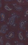 Deep Burgundy and Blue Paisley
