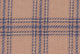 Beige With Blue Check