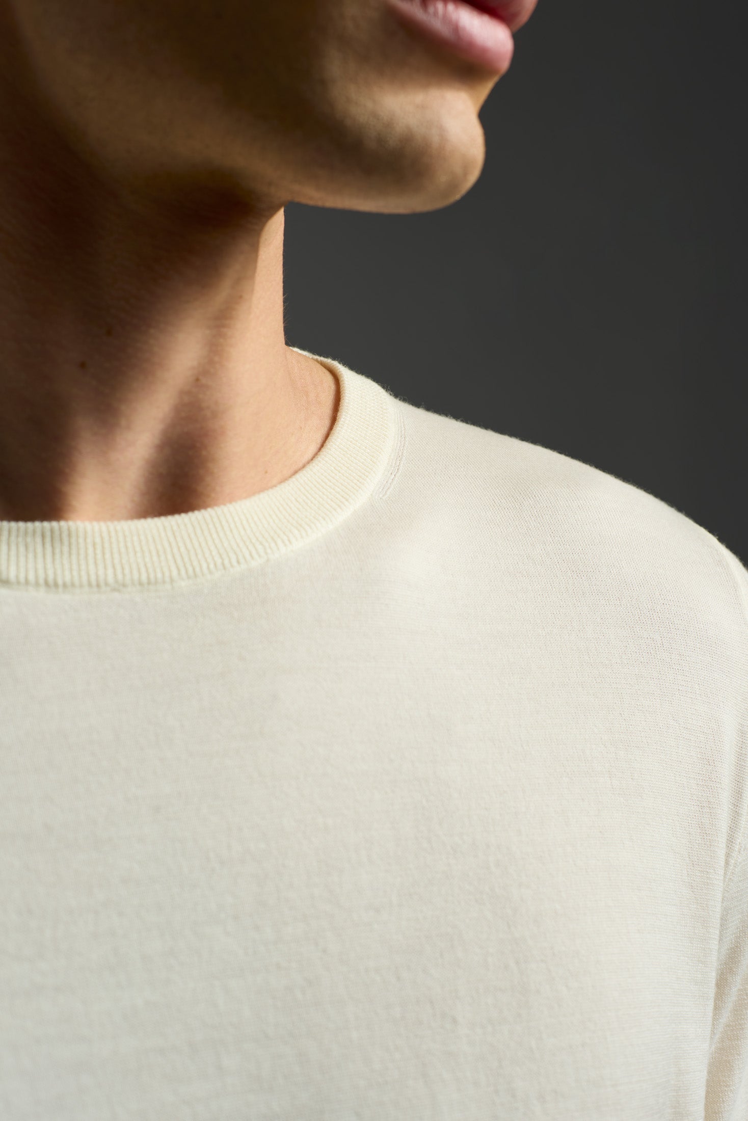 MG8013_000_YP005_011-media-3