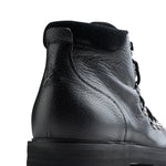 SHF034_000_CALFE_990-media-4